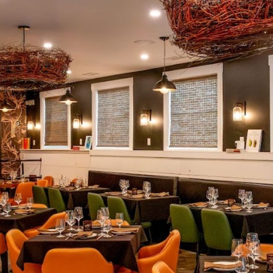 A restaurant dining room with tables set with black tablecloths, orange and green chairs, and nature-themed decor.